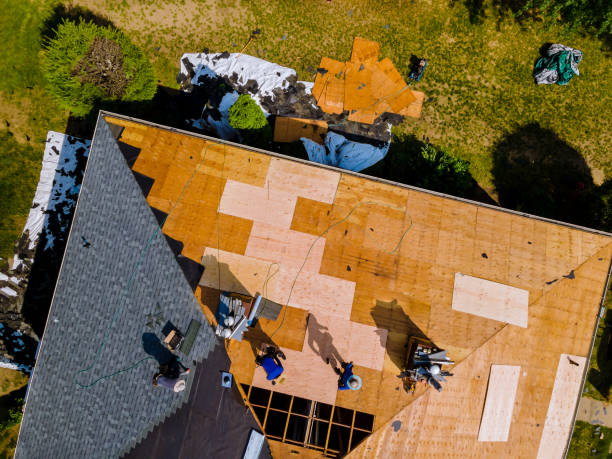 Best Roof Restoration Services  in Fort Polk South, LA